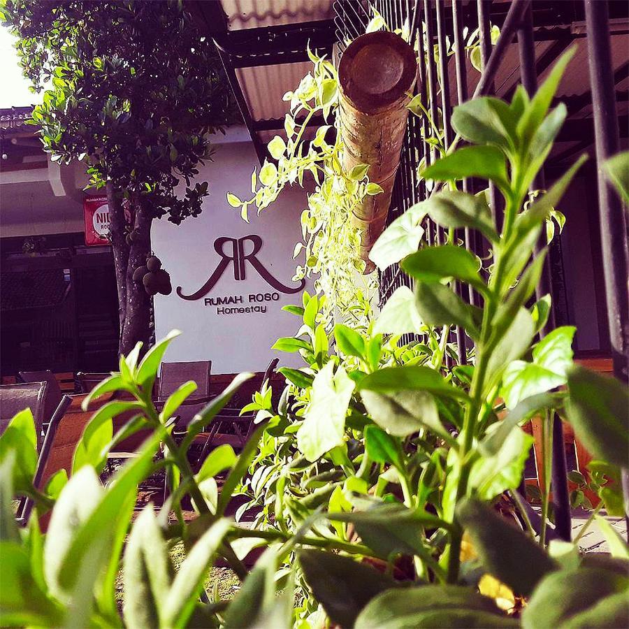Rumah Roso Homestay Yogyakarta Exterior photo
